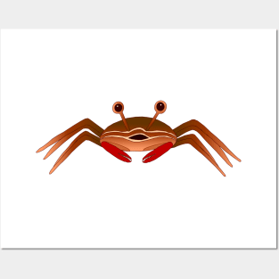 Crabby the Crab Posters and Art